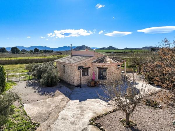 Chalet independiente en venta en Partida Casas de Jordan, Villena
 photo 1