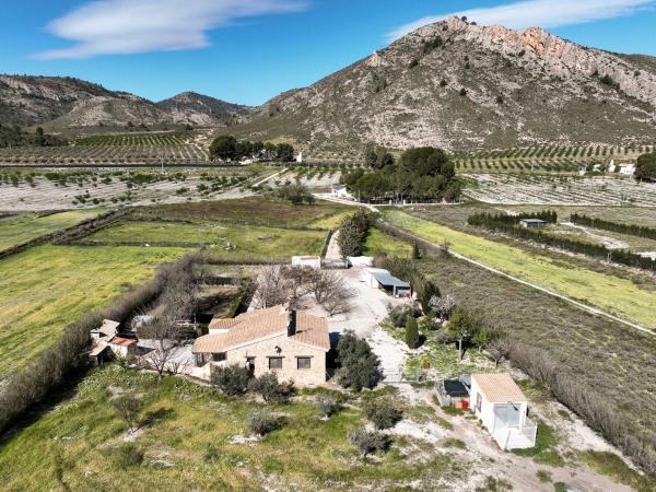 Chalet independiente en venta en Partida Casas de Jordan, Villena
 photo 2