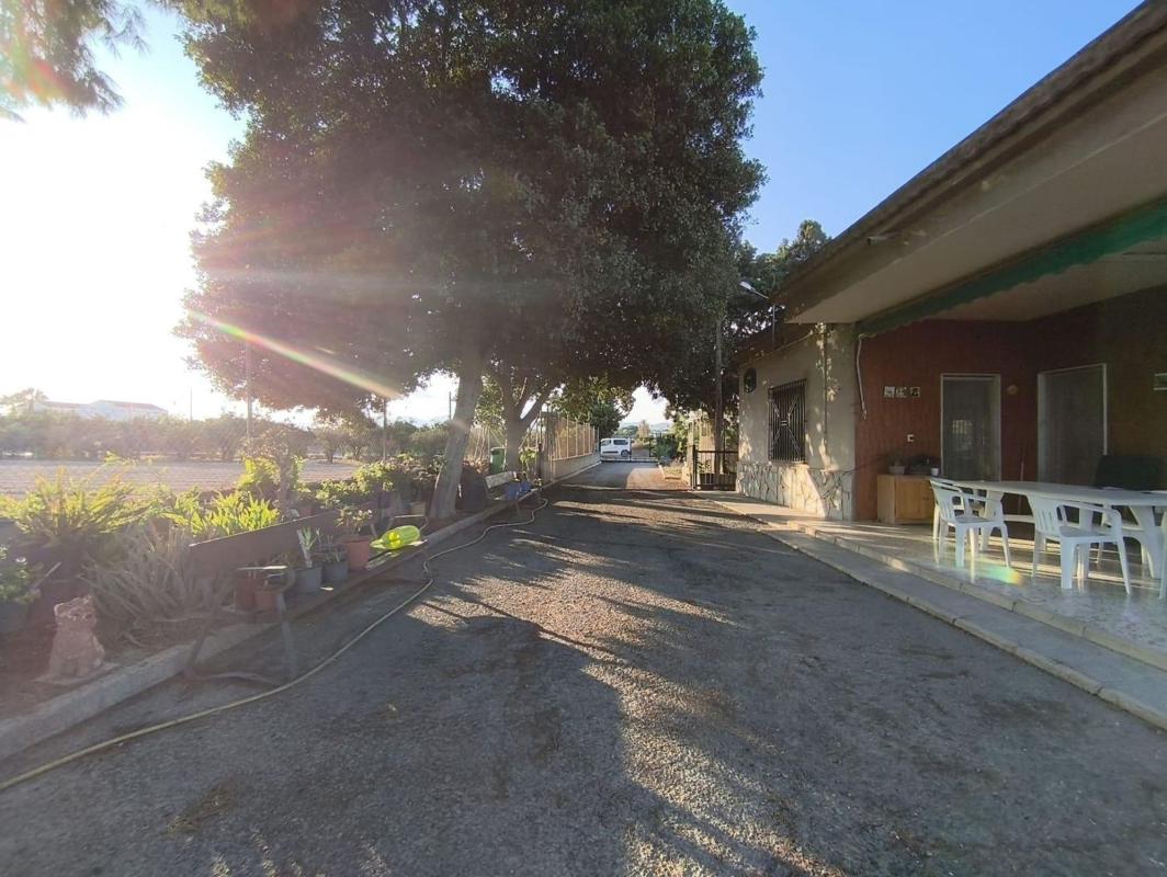 Sale of independent chalet in Algoda-Matola-Llano de San José, Elche / Elx
photo 1