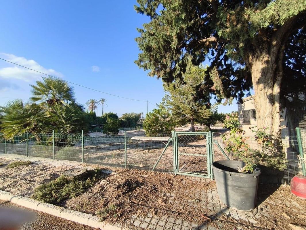 Sale of independent chalet in Algoda-Matola-Llano de San José, Elche / Elx
photo 3