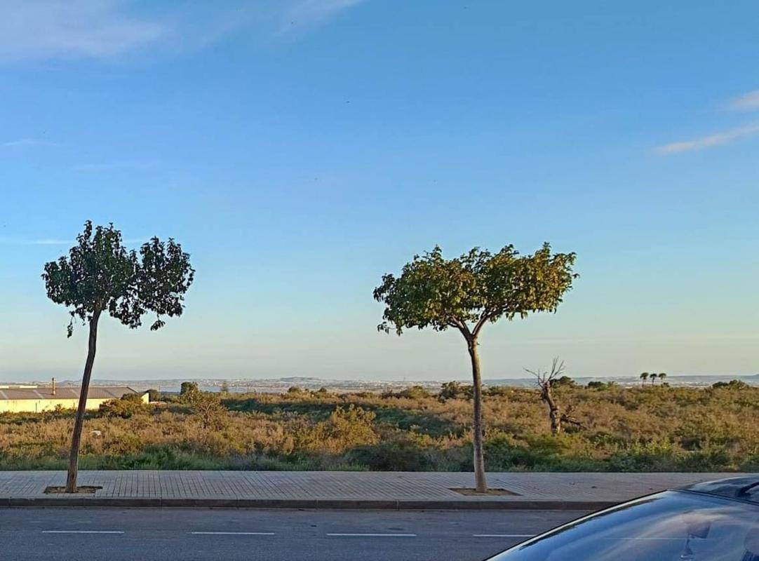 Properties for sale and rent in Spain photo 2