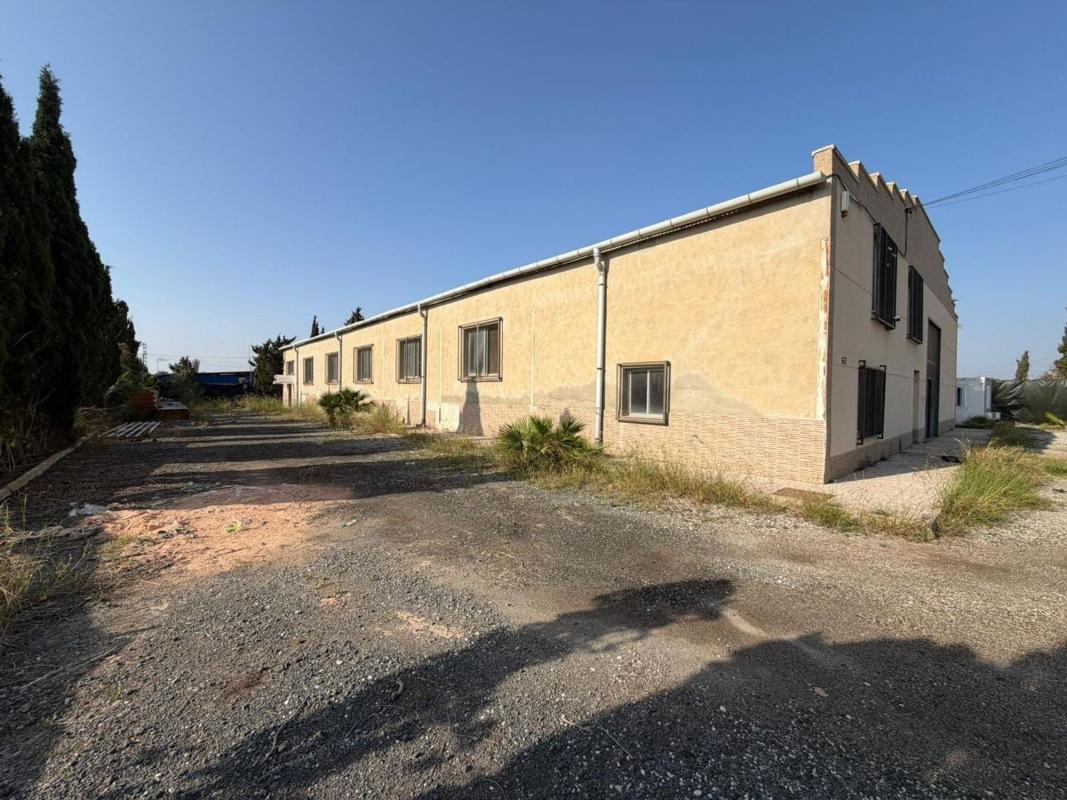 Properties for sale and rent in Spain photo 4