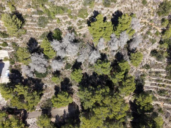 Terreno en Puerto, Jávea/Xàbia photo 4