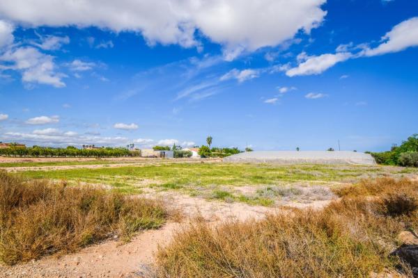 Terreno en Carretera Elx - Santa Pola, Maitino-Perleta, Elche / Elx photo 1