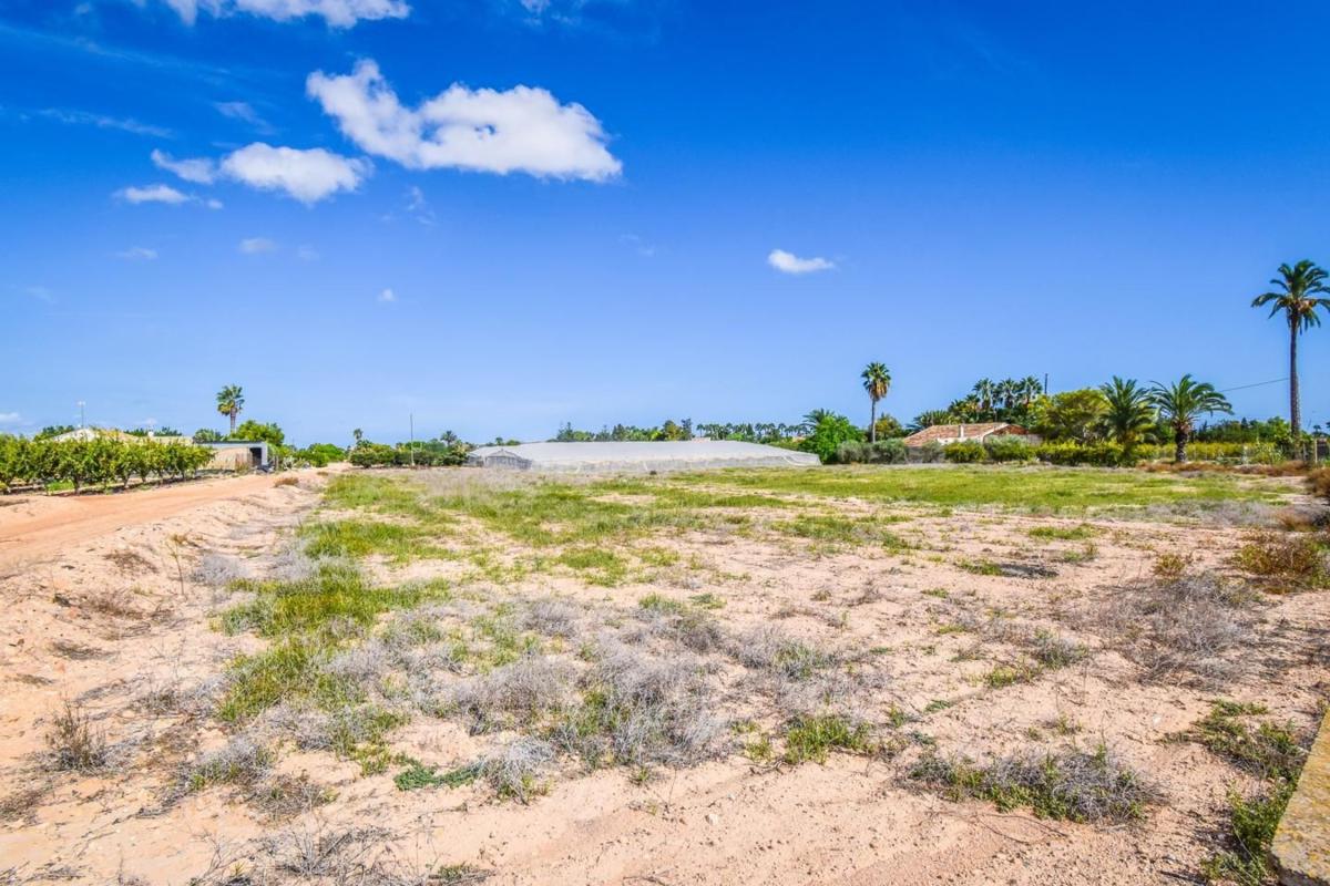 Terreno en venta en Elche / Elx, Alicante photo 3