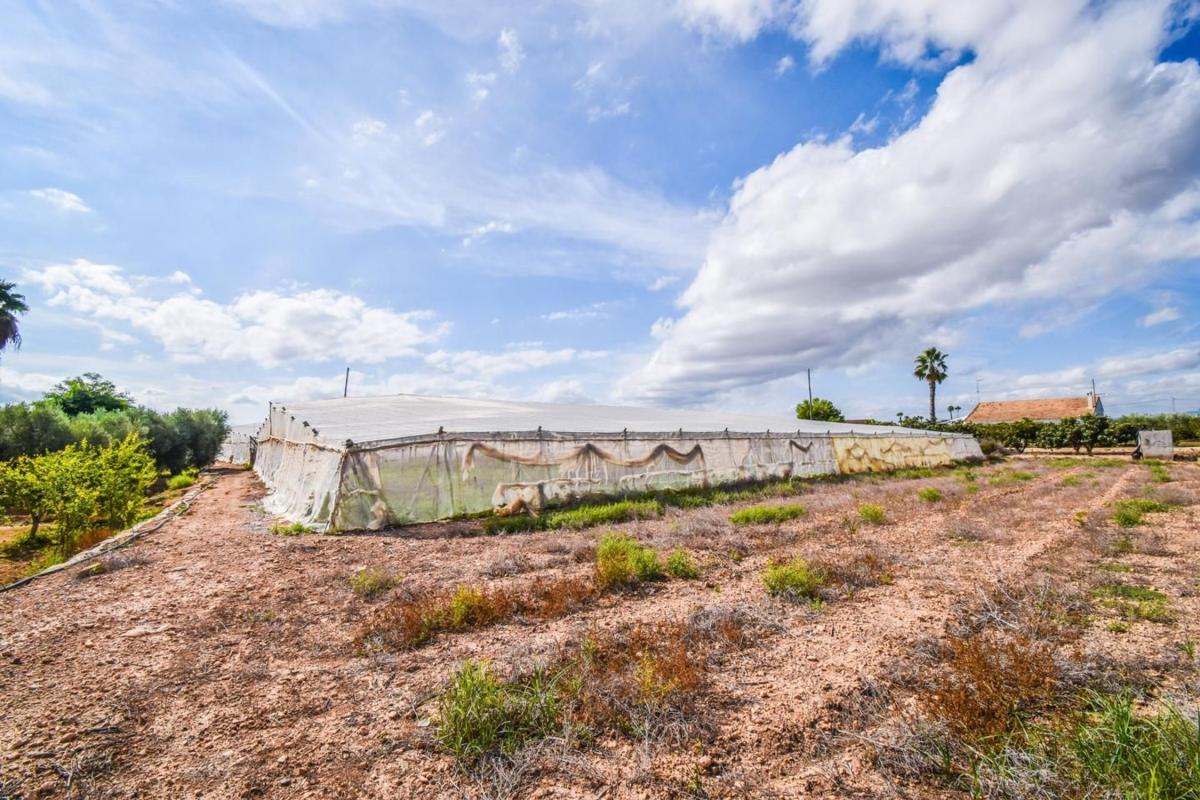 Terreno en venta en Elche / Elx, Alicante photo 4