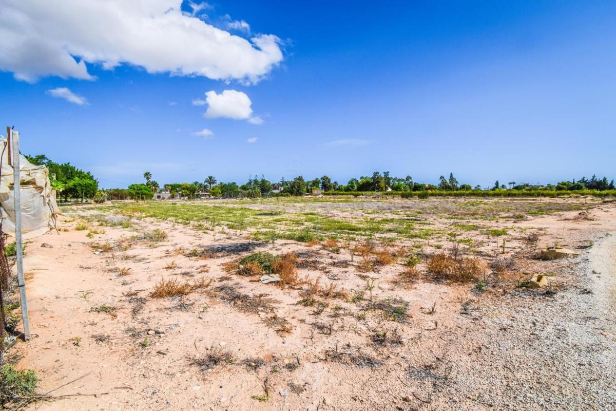 Terreno en venta en Elche / Elx, Alicante photo 5