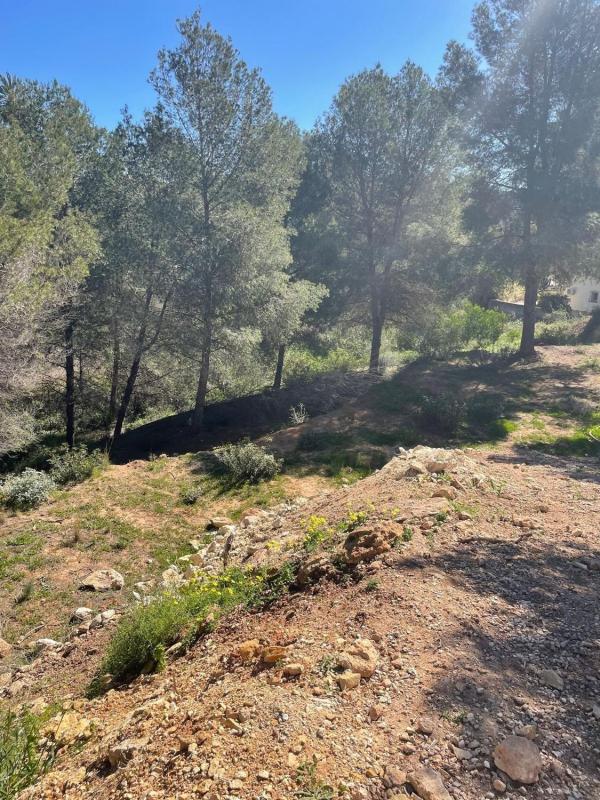 Terreno en venta en Benissa, Alicante photo 4