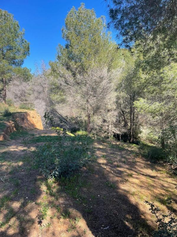 Terreno en venta en Benissa, Alicante photo 5