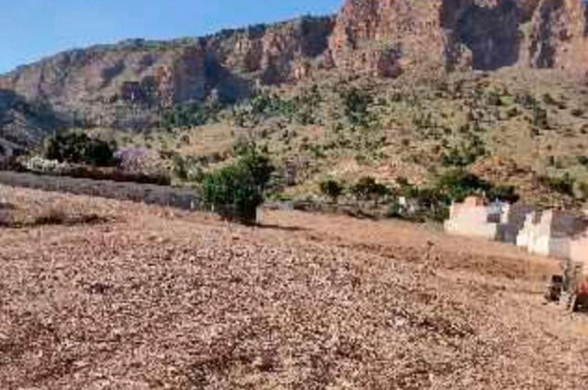 Terreno en venta en Orihuela, Alicante photo 4