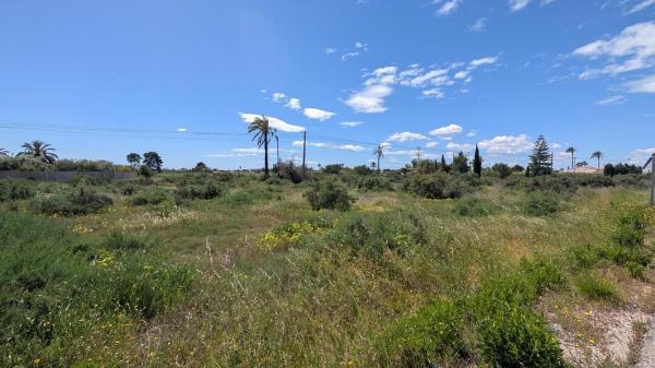 Terreno en Centro, Elche / Elx photo 1