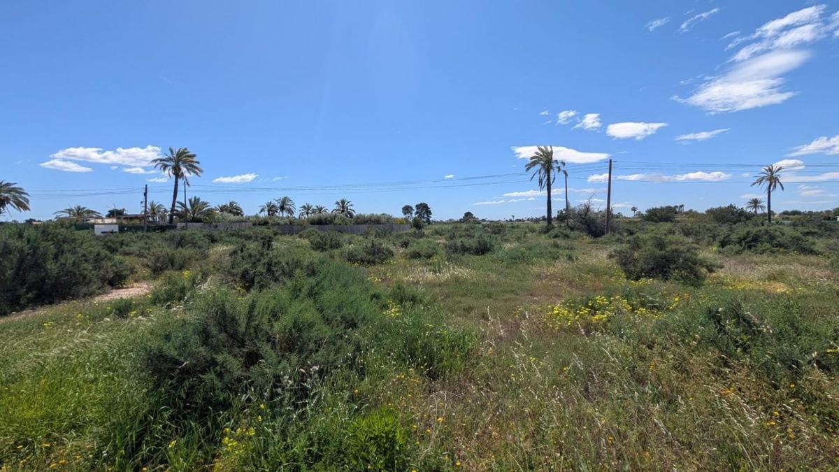 Działka na sprzedaż w Elche / Elx, Alicante photo 2