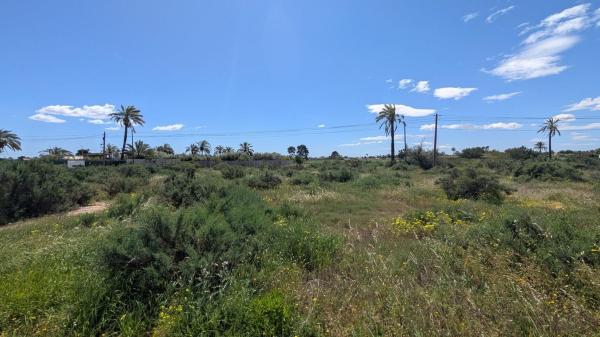 Terreno en Centro, Elche / Elx photo 2