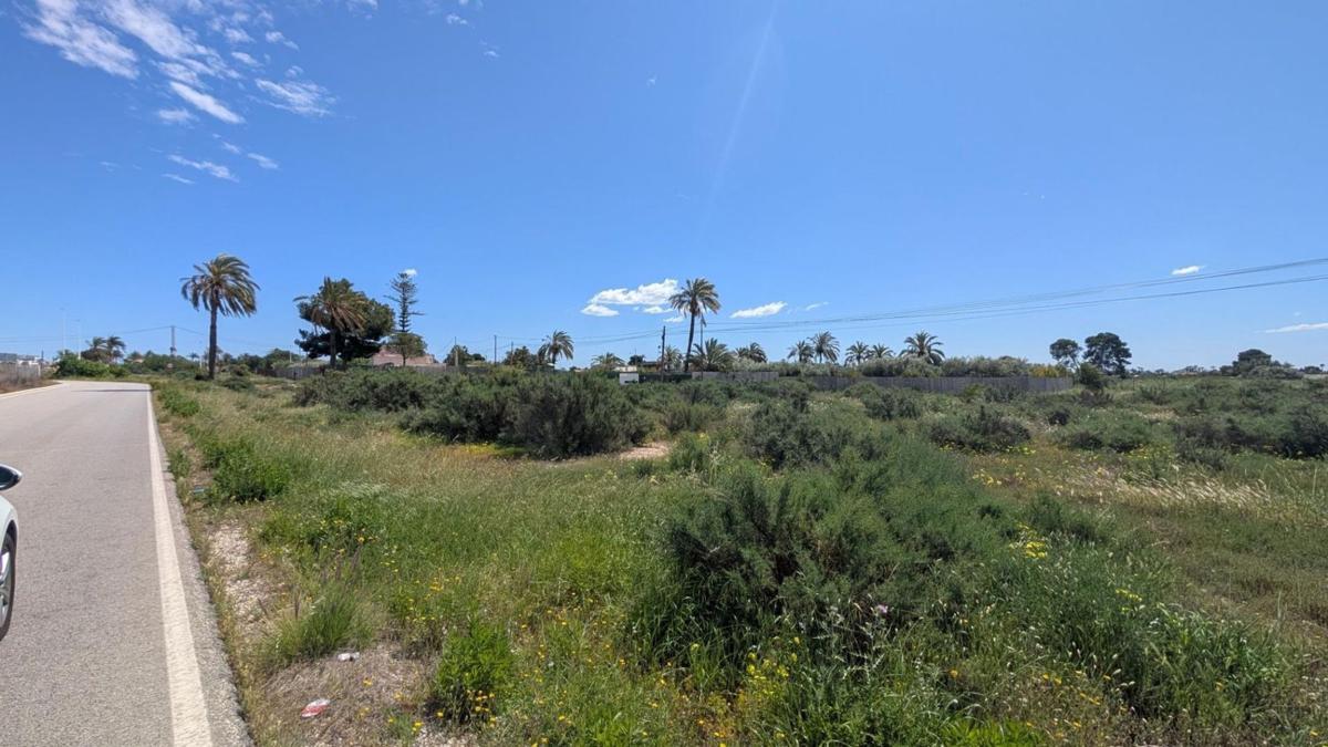 Działka na sprzedaż w Elche / Elx, Alicante photo 3