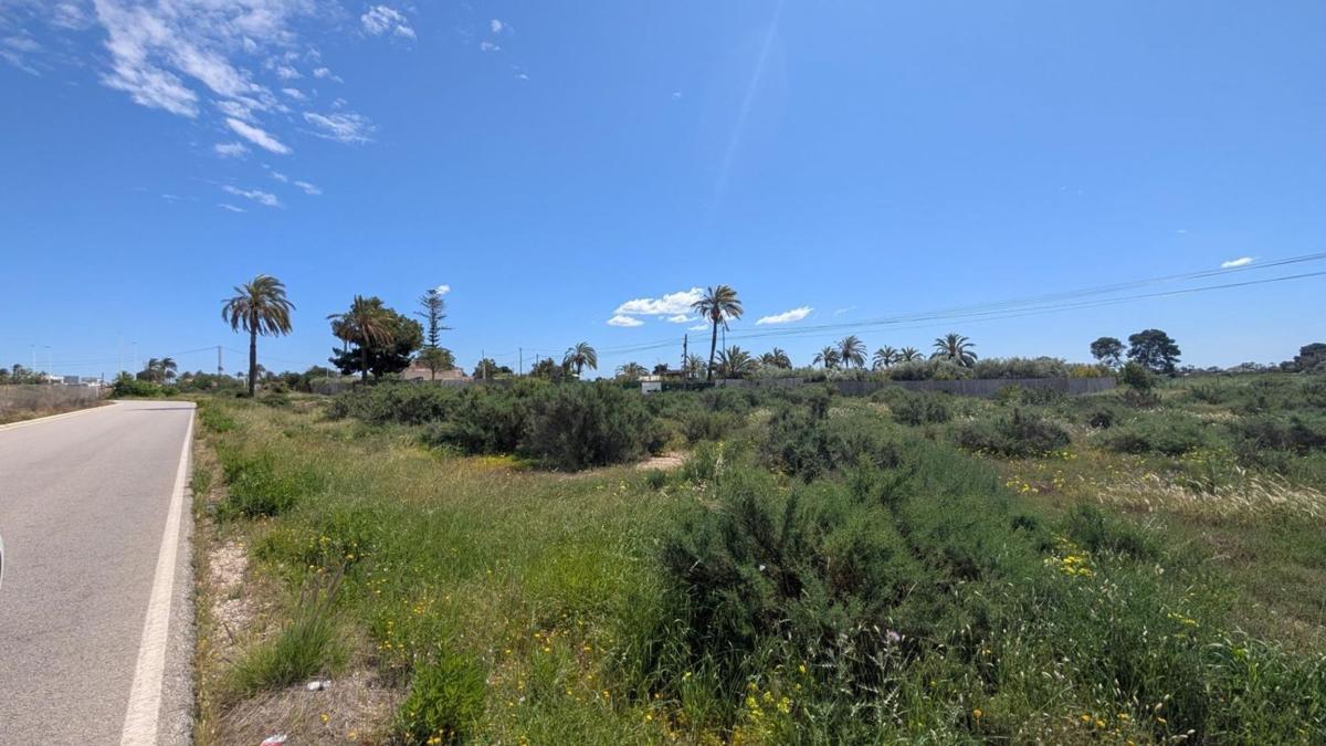 Działka na sprzedaż w Elche / Elx, Alicante photo 4
