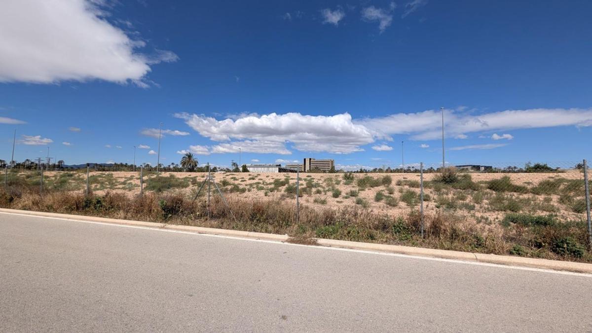 Działka na sprzedaż w Elche / Elx, Alicante photo 5