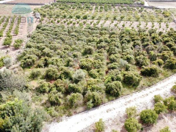 Terreno en Camino de les Hortes, Tormos photo 3