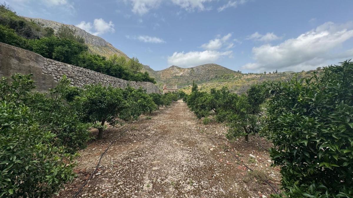 Terreno en venta en Adsubia, Alicante photo 2