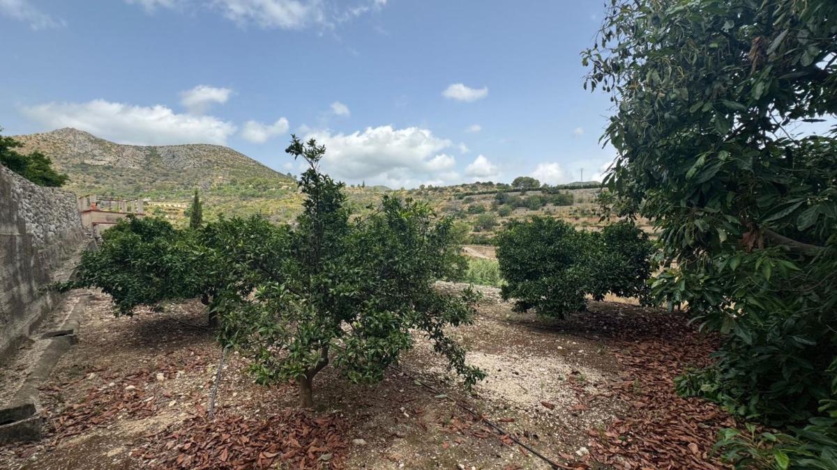 Terreno en venta en Adsubia, Alicante photo 3