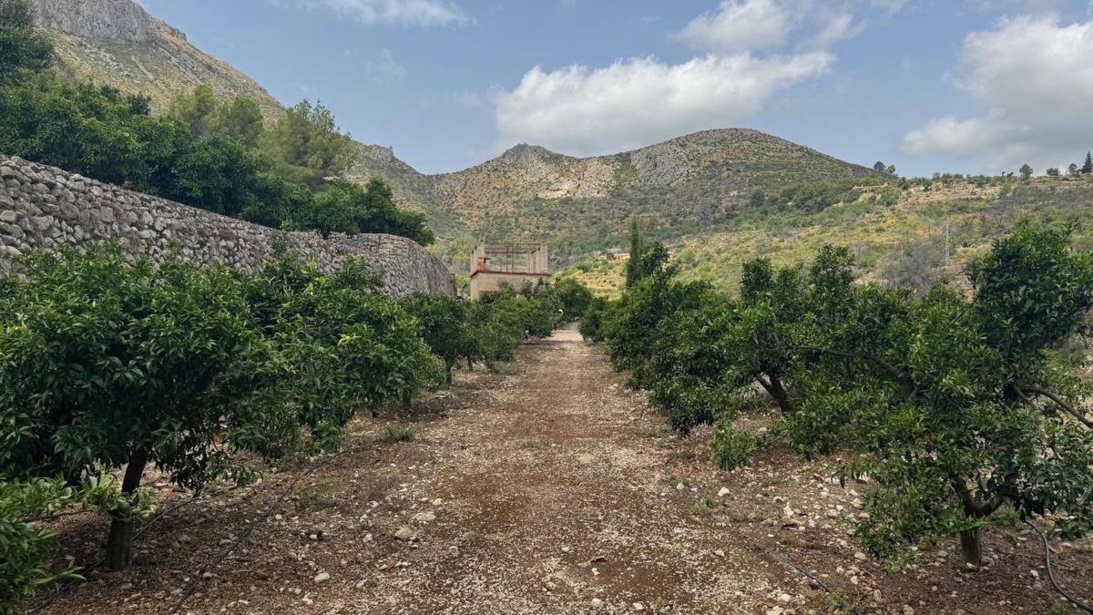 Terreno en venta en Adsubia, Alicante photo 4