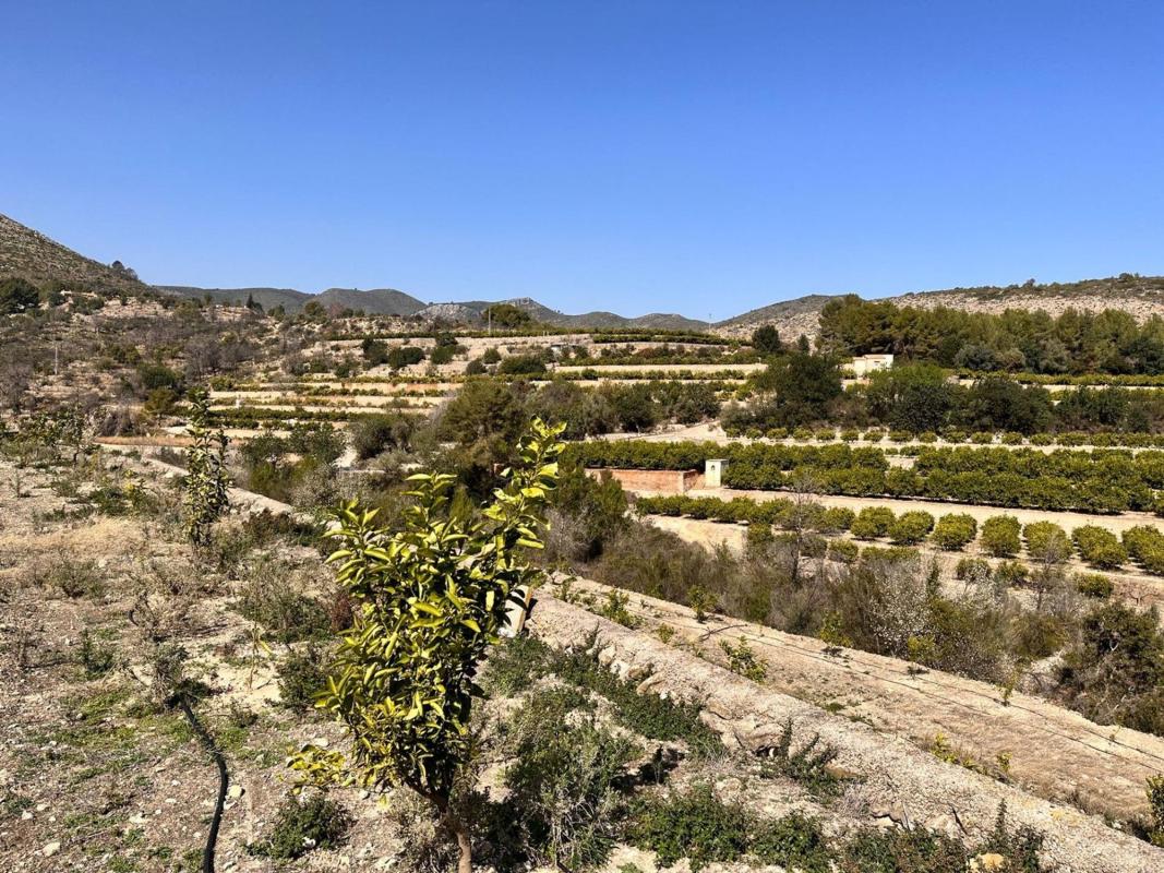 Terreno en venta en Adsubia, Alicante photo 5