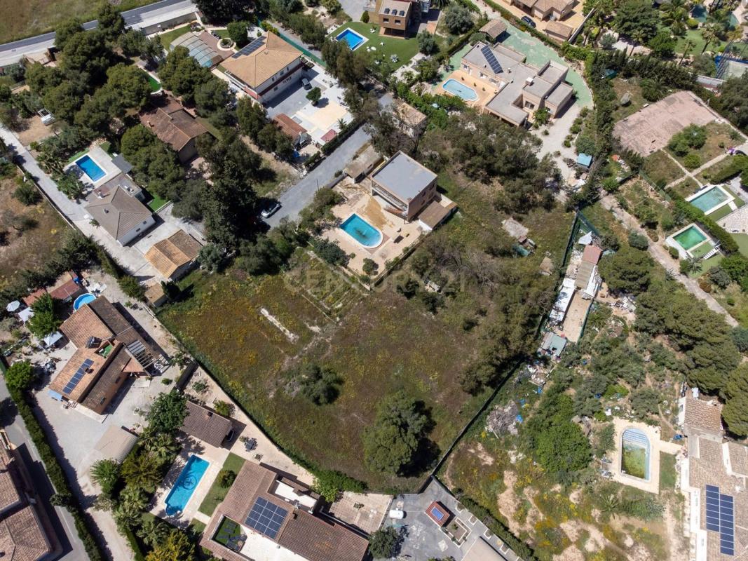 Terreno en venta en San Vicente del Raspeig, Alicante photo 3