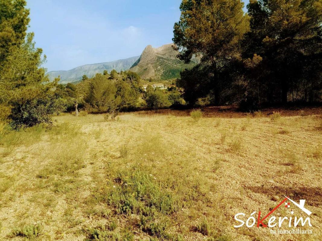 Terreno en venta en Finestrat, Alicante photo 2
