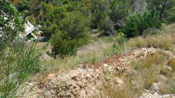 Terreno en Altea Hills, Altea photo 3