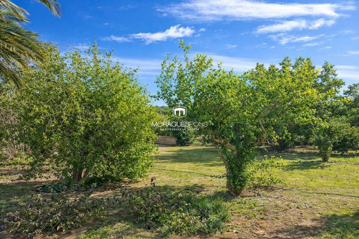 Terreno en venta en Jávea/Xàbia, Alicante photo 4
