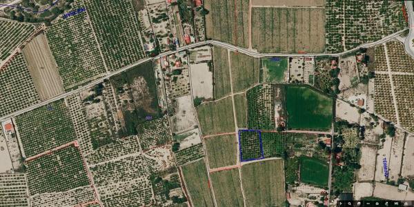 Terreno en Avenida Constitución, Algorfa photo 2