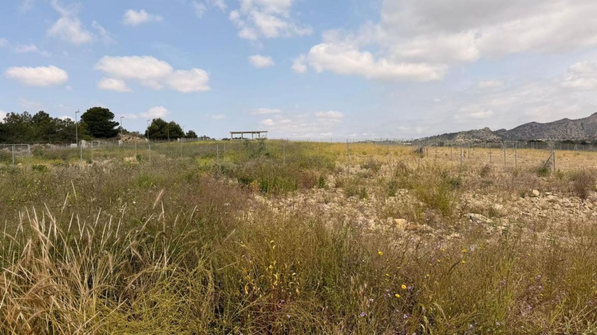 Terreno en venta en Monforte del Cid, Alicante photo 2
