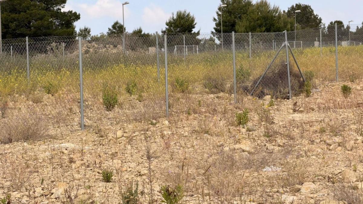 Terreno en venta en Monforte del Cid, Alicante photo 3