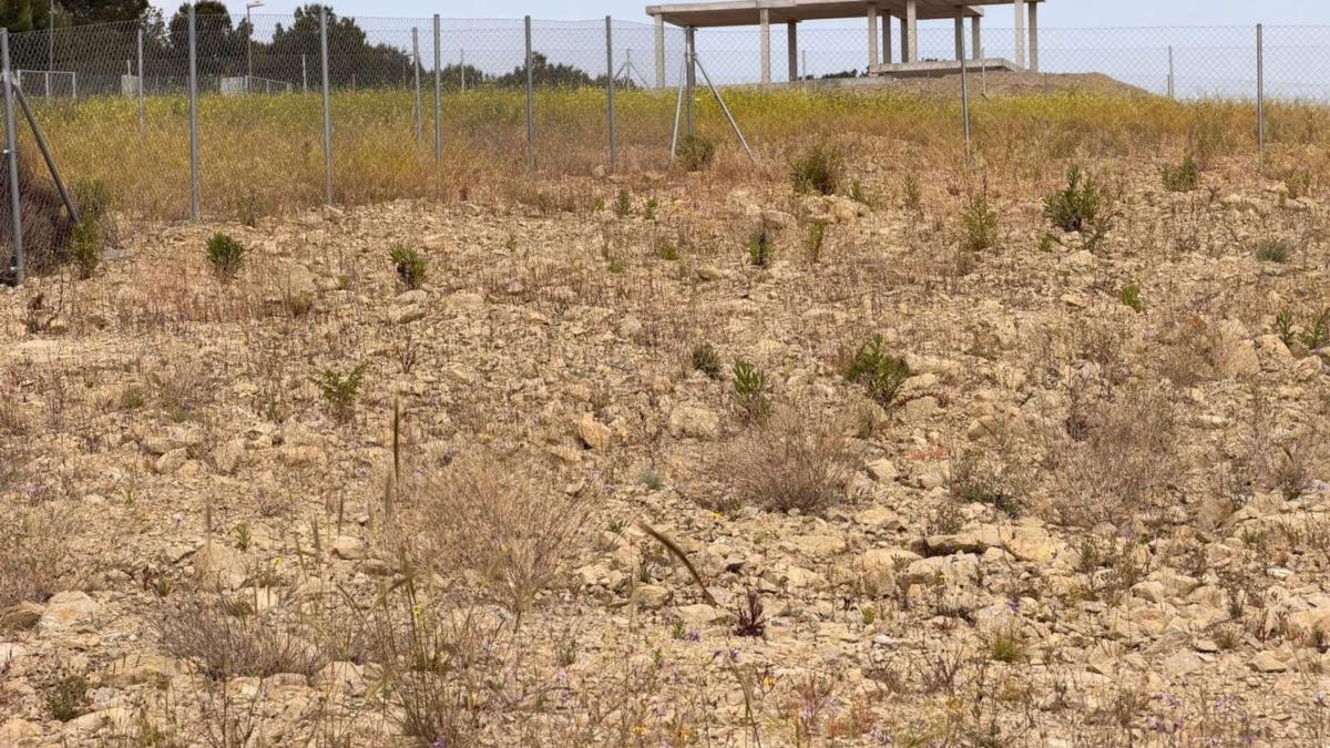 Terreno en venta en Monforte del Cid, Alicante photo 4