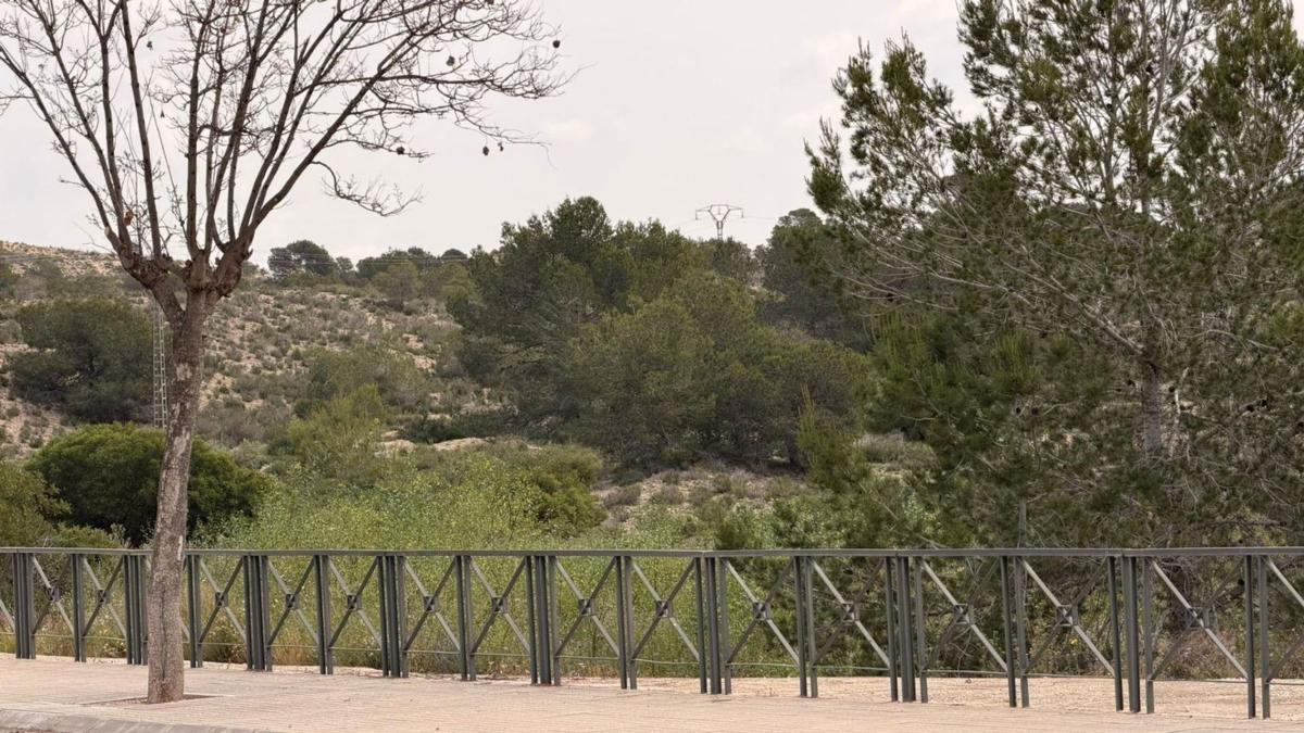 Terreno en venta en Monforte del Cid, Alicante photo 5
