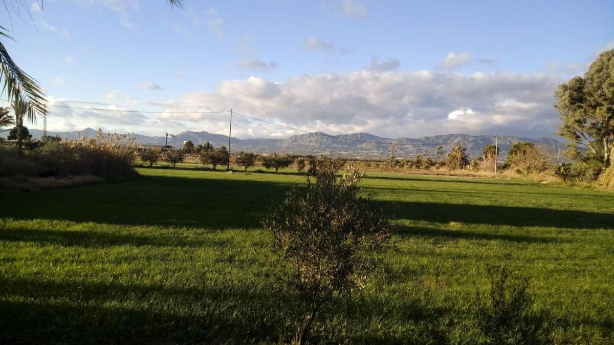 Terreno en venta en Crevillente, Alicante photo 1