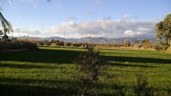 Terreno en Crevillente photo 1