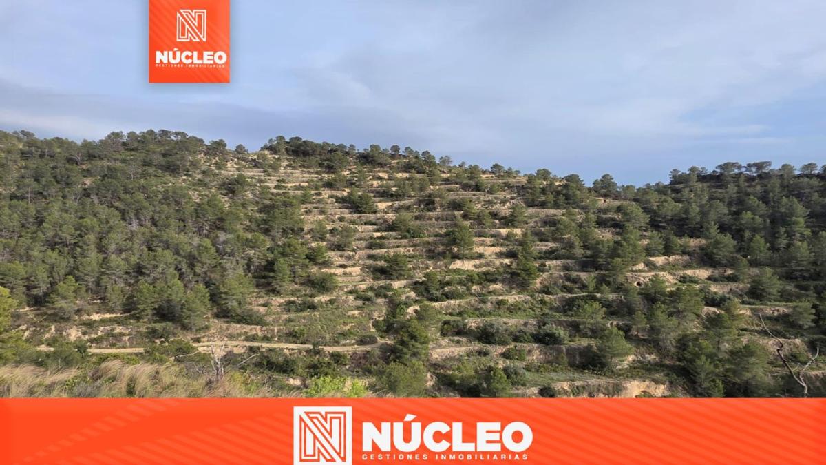 Działka na sprzedaż w Sella, Alicante photo 1