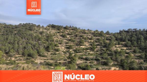 Terreno en Partida Capitana, 1, Sella photo 1
