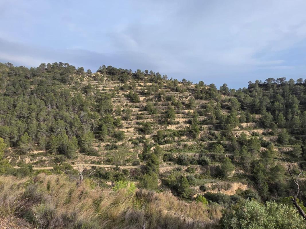 Działka na sprzedaż w Sella, Alicante photo 2