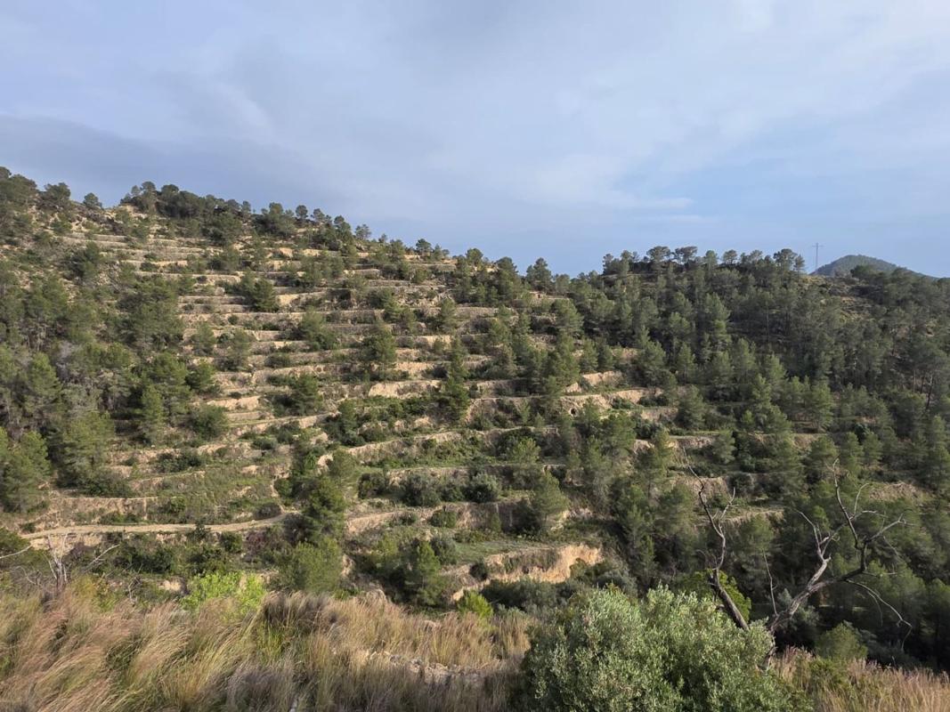 Działka na sprzedaż w Sella, Alicante photo 3