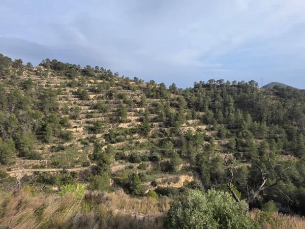 Terreno en Partida Capitana, 1, Sella photo 3