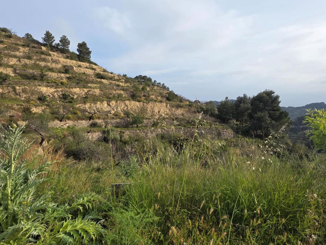 Działka na sprzedaż w Sella, Alicante photo 4