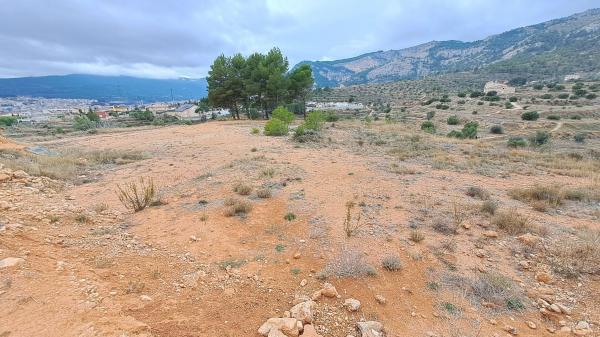 Terreno en Partida Cotes Altes, 2 Poligonoparcela, Barri Zona Nord, Alcoy / Alcoi thumbnail 2