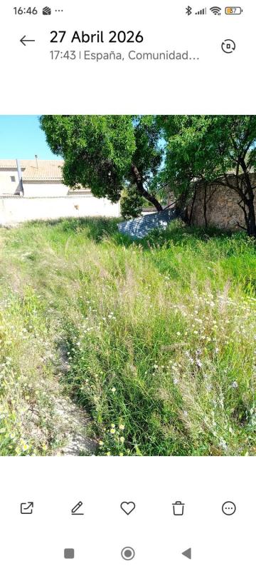 Terreno en venta en Pinoso, Alicante photo 3