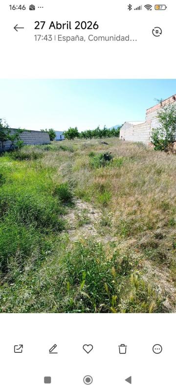 Terreno en venta en Pinoso, Alicante photo 4