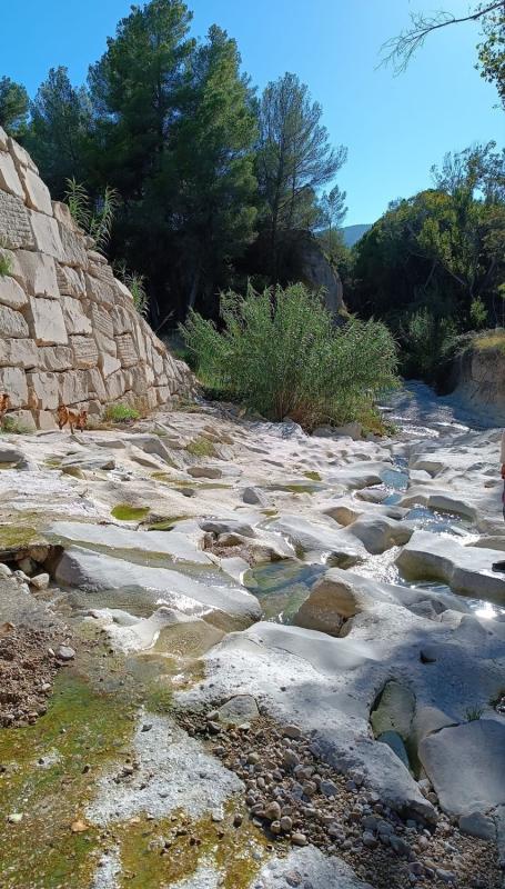 Land for sale in Tibi, Alicante photo 3