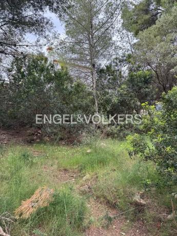 Terreno en Pinomar - Pinosol, Jávea/Xàbia photo 2