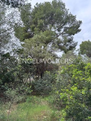 Terreno en Pinomar - Pinosol, Jávea/Xàbia photo 3