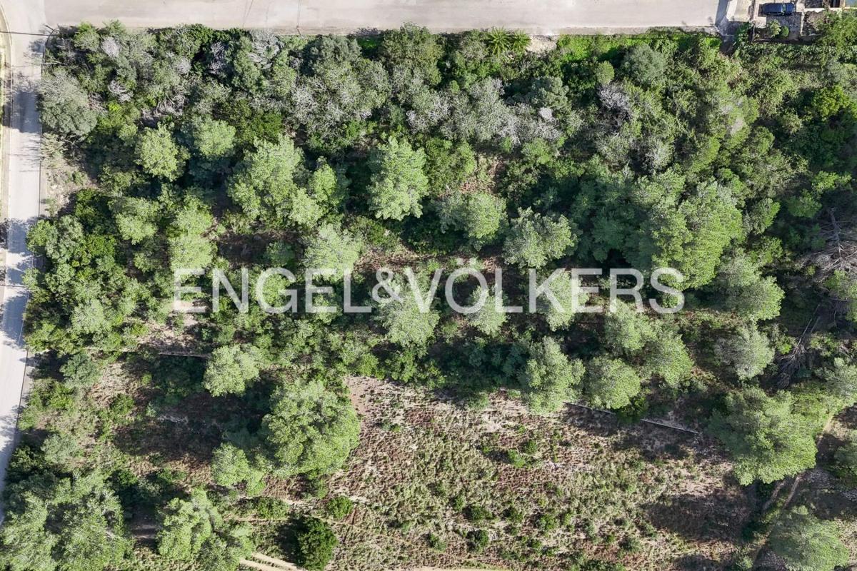 Terreno en venta en Jávea/Xàbia, Alicante photo 4