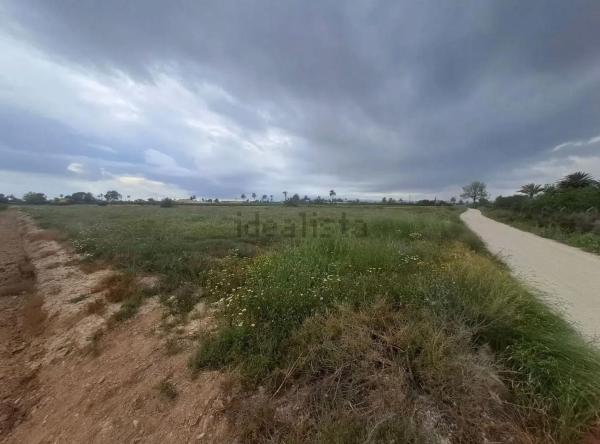 Terreno en Camino de Ventarich s/n, Alzabares, Elche / Elx photo 3